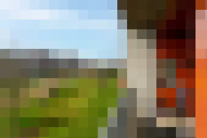De Gaard 88 Waalwijk thumbnail 17