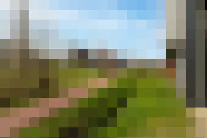 De Gaard 88 Waalwijk thumbnail 24