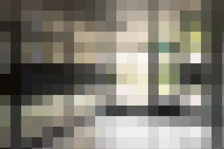 De Gaard 88 Waalwijk thumbnail 7