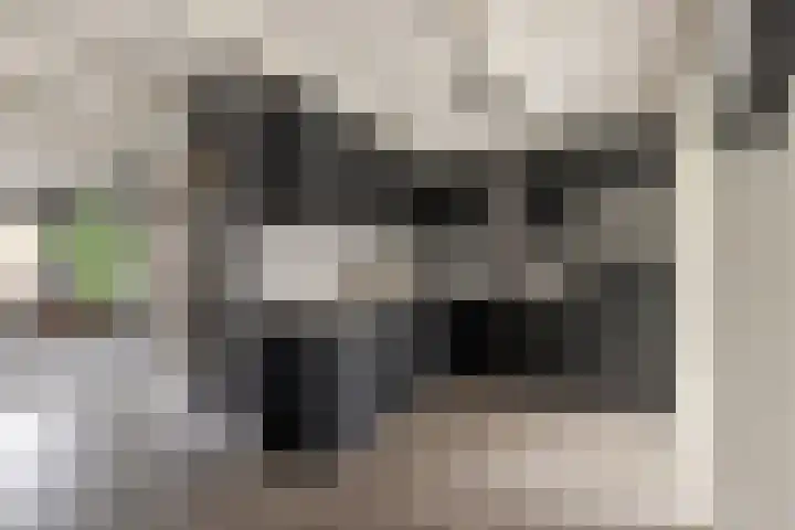 de Gaard 9 Bemmel thumbnail 12