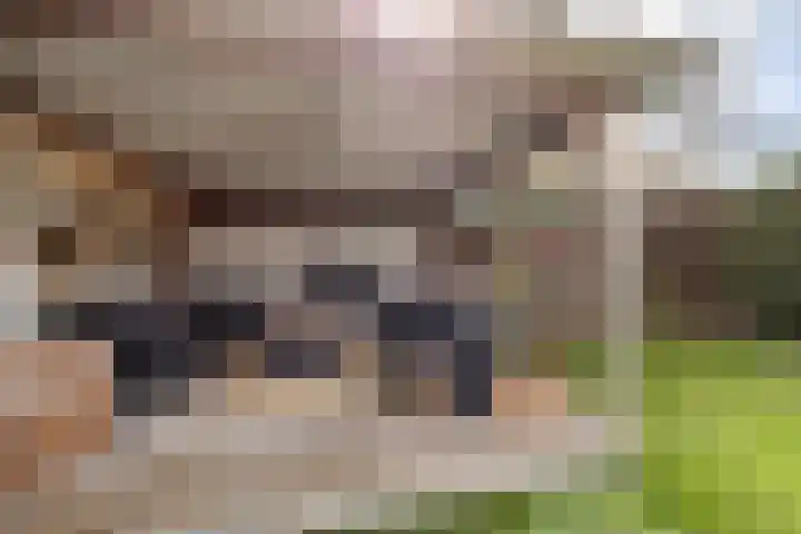 de Gaard 9 Bemmel thumbnail 15