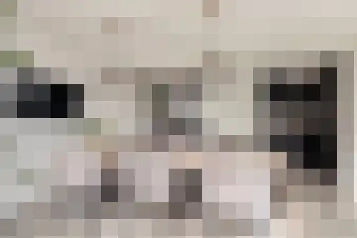de Gaard 9 Bemmel thumbnail 18