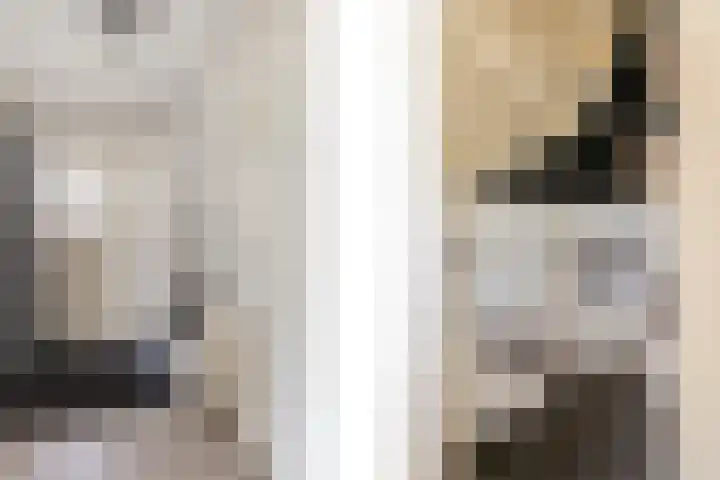 de Gaard 9 Bemmel thumbnail 19