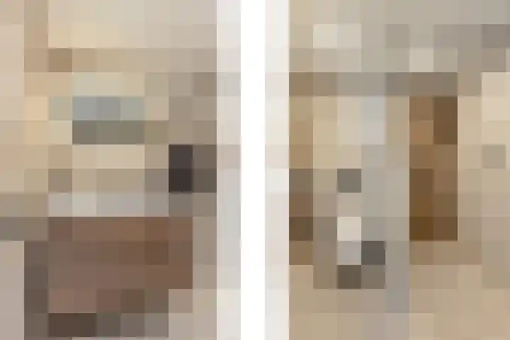 de Gaard 9 Bemmel thumbnail 27