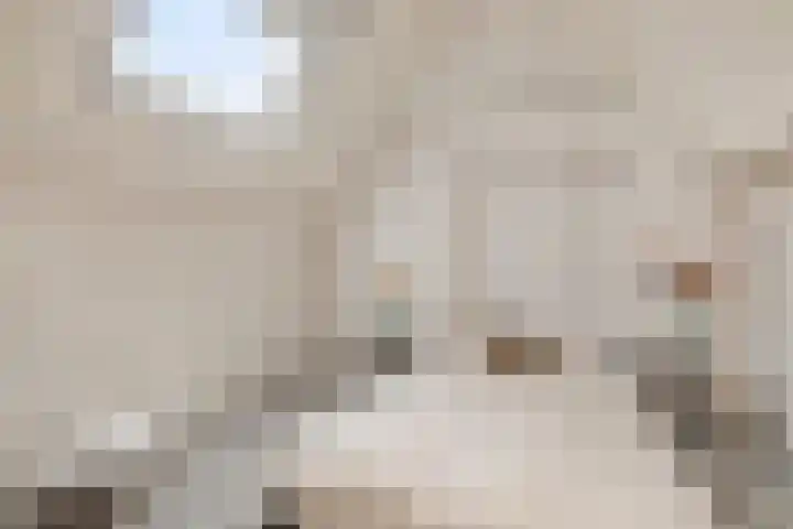 de Gaard 9 Bemmel thumbnail 28