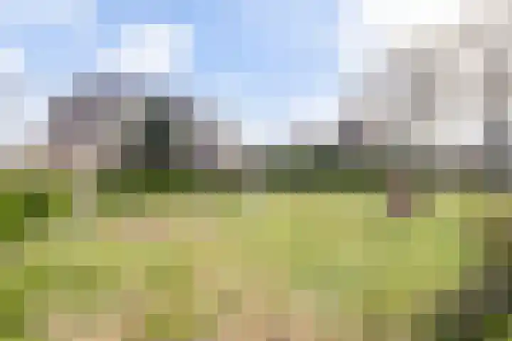 de Gaard 9 Bemmel thumbnail 32