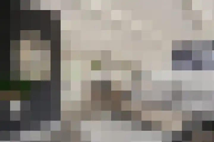 de Gaard 9 Bemmel thumbnail 9
