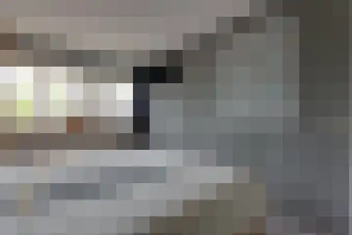 De Gaarde 15 Assen thumbnail 21