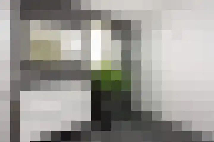 De Gaarde 15 Assen thumbnail 29