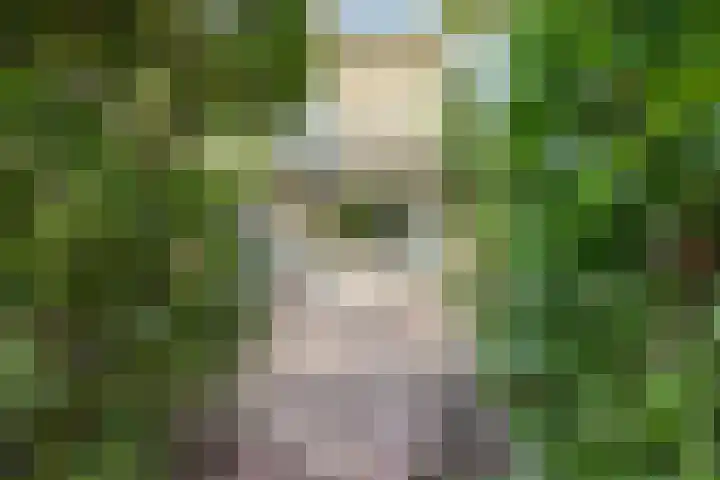 De Gaarde 15 Assen thumbnail 41