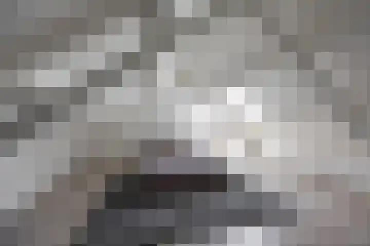 De Gaarde 15 Assen thumbnail 43