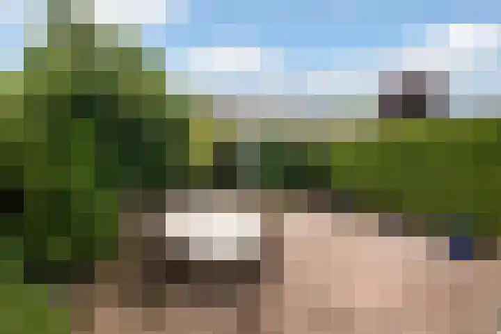 De Gaarde 57 Assen thumbnail 35