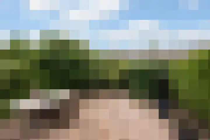 De Gaarde 57 Assen thumbnail 36