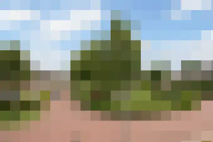 De Gaarde 57 Assen thumbnail 39
