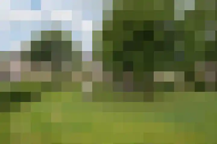 De Gaarde 57 Assen thumbnail 40