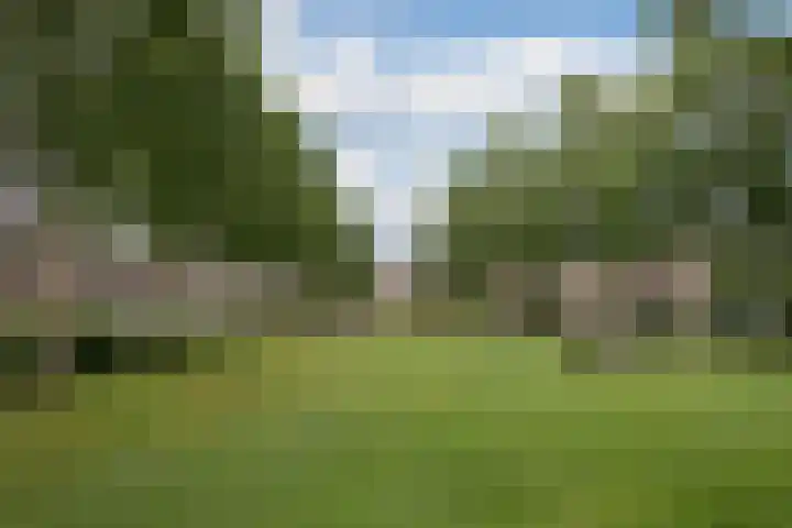 De Gaarde 57 Assen thumbnail 41