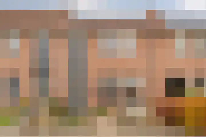 De Gaffel 25 in Den Ham