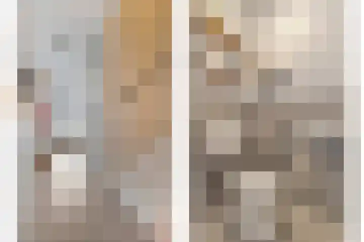 De Gaffel 25 Den Ham thumbnail 10