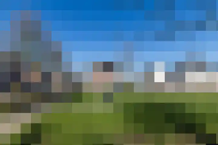 De Gaffel 25 Den Ham thumbnail 16