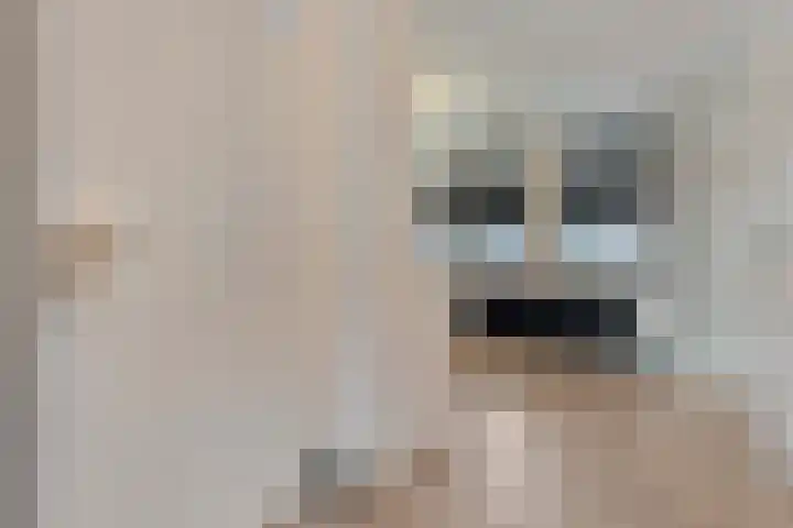 De Gaffel 25 Den Ham thumbnail 16