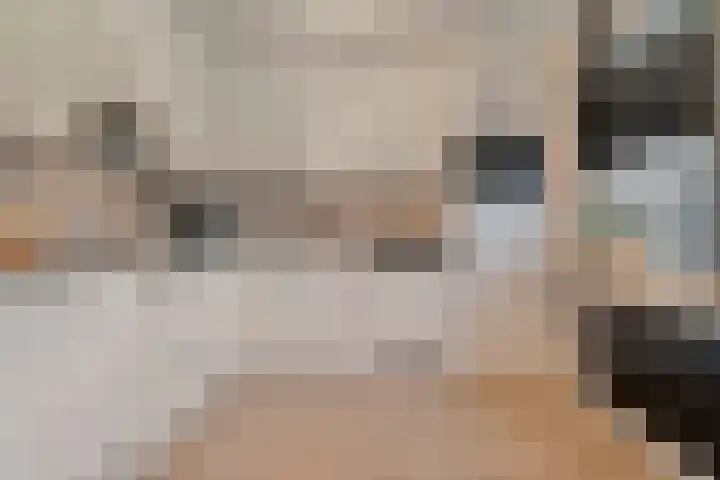 De Gaffel 25 Den Ham thumbnail 18