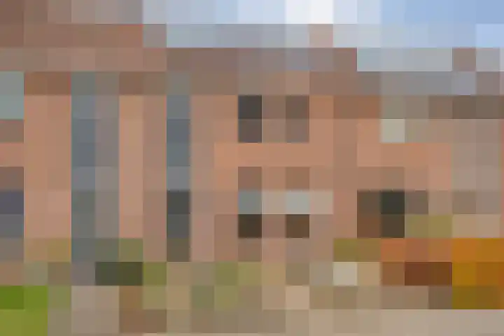 De Gaffel 25 Den Ham foto 2