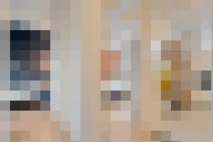 De Gaffel 25 Den Ham thumbnail 26