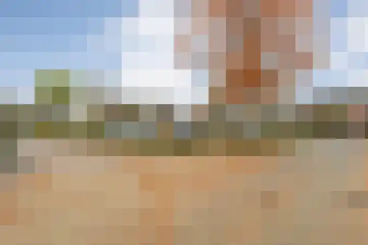 De Gaffel 25 Den Ham foto 3