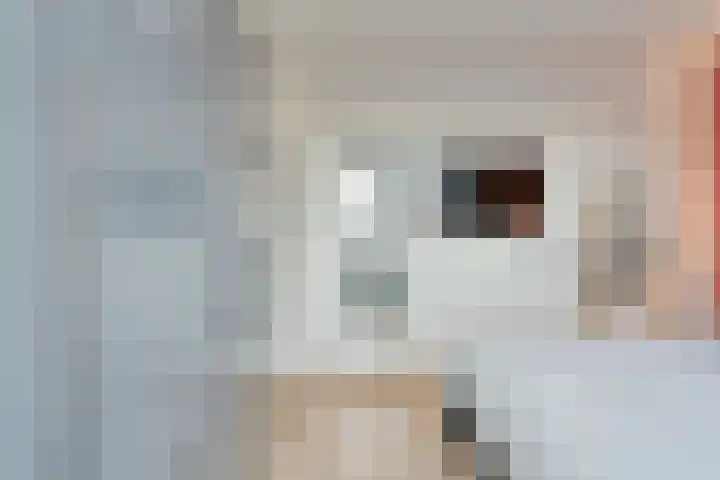 De Gaffel 25 Den Ham thumbnail 33