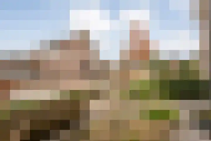 De Gaffel 25 Den Ham thumbnail 4
