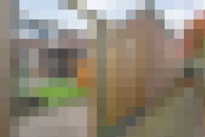 De Gaffel 25 Den Ham thumbnail 47