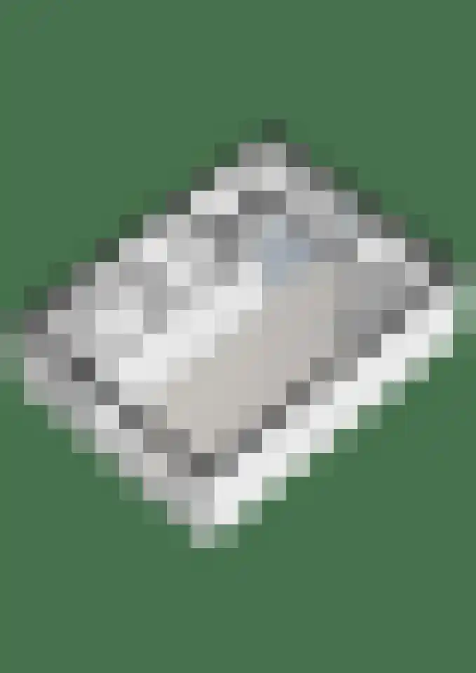 De Gaffel 25 Den Ham thumbnail 49