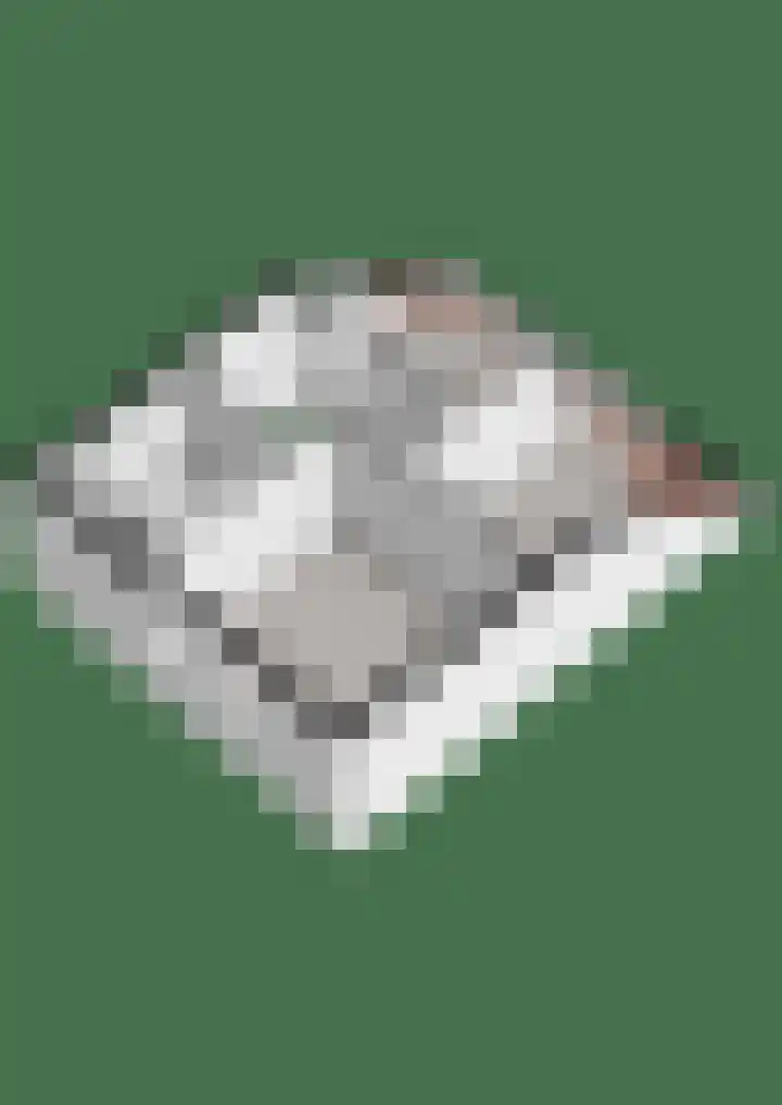 De Gaffel 25 Den Ham thumbnail 51