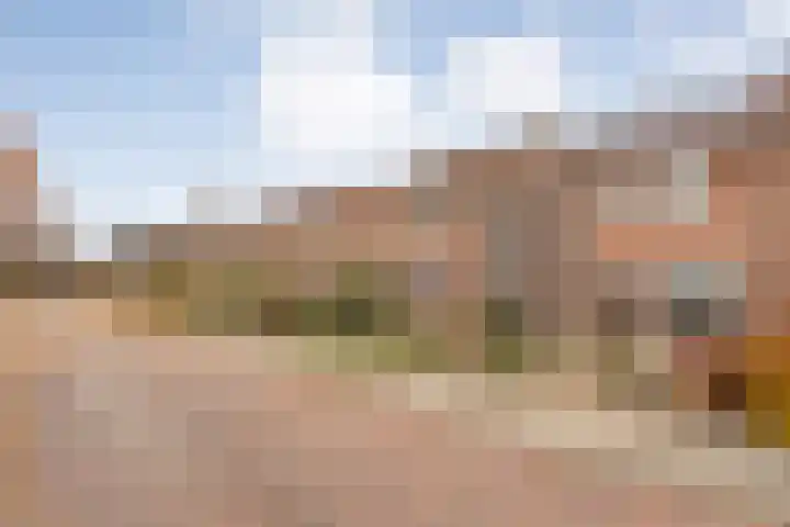 De Gaffel 25 Den Ham thumbnail 6