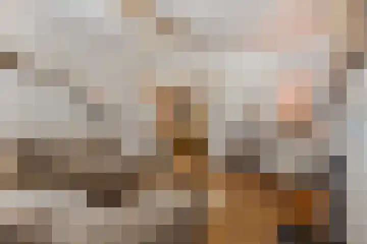 De Gaffel 37 Den Ham thumbnail 10