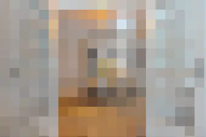 De Gaffel 37 Den Ham thumbnail 13