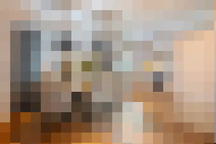 De Gaffel 37 Den Ham thumbnail 14