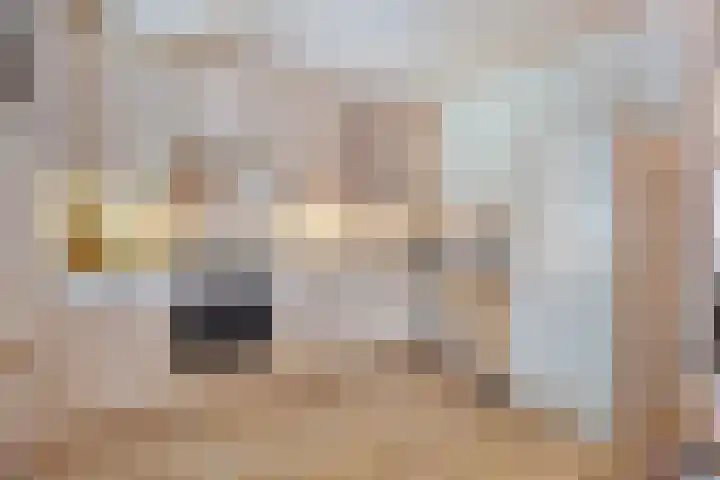 De Gaffel 37 Den Ham thumbnail 17