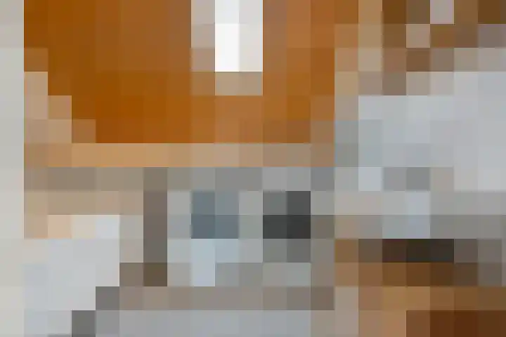 De Gaffel 37 Den Ham thumbnail 23