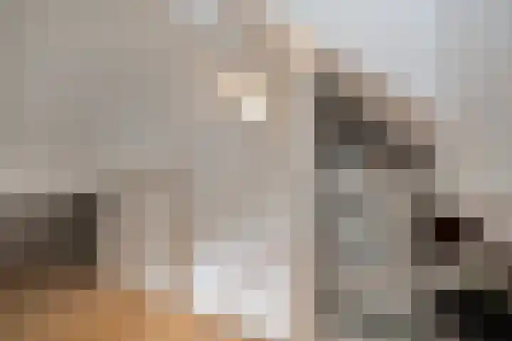 De Gaffel 37 Den Ham thumbnail 27