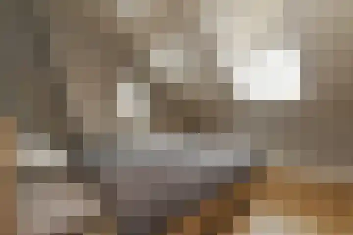 De Gaffel 37 Den Ham thumbnail 37