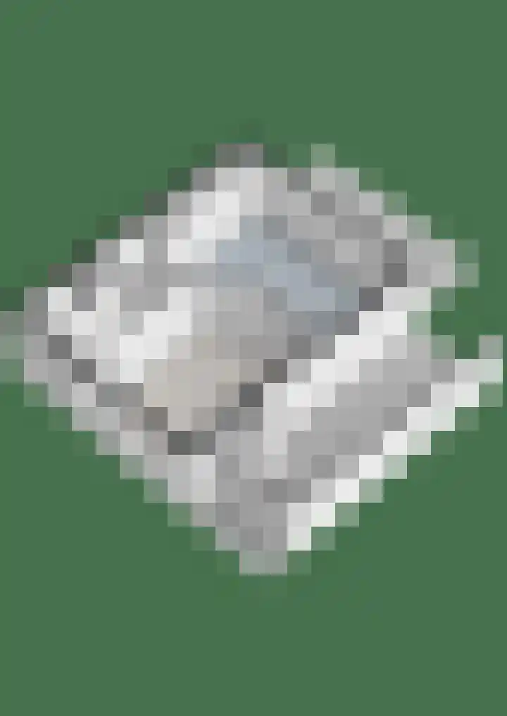 De Gaffel 37 Den Ham thumbnail 38
