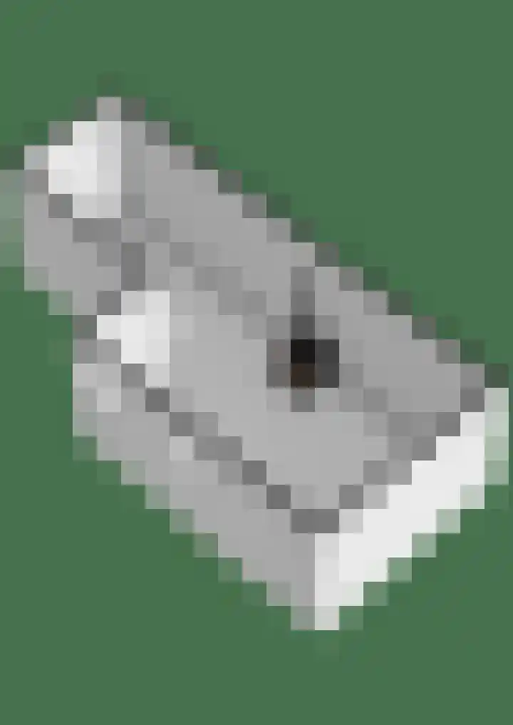 De Gaffel 37 Den Ham thumbnail 44