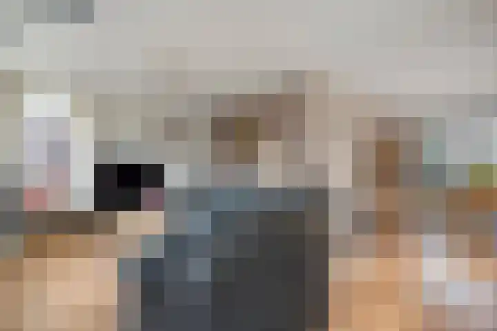 De Gaffel 37 Den Ham thumbnail 6