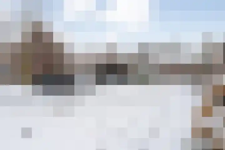 De Gaffel 37 Den Ham thumbnail 6