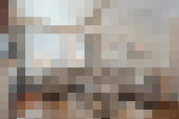 De Gaffel 37 Den Ham thumbnail 9
