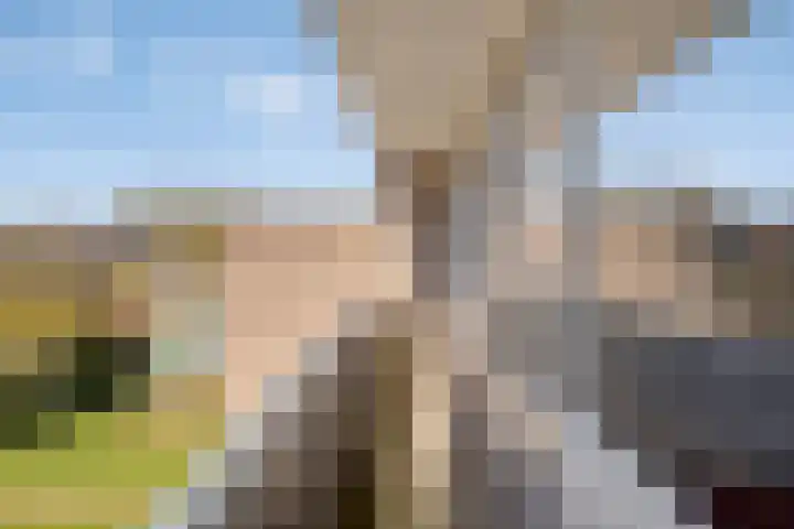 De Gaikhorst 38 Warnsveld thumbnail 23