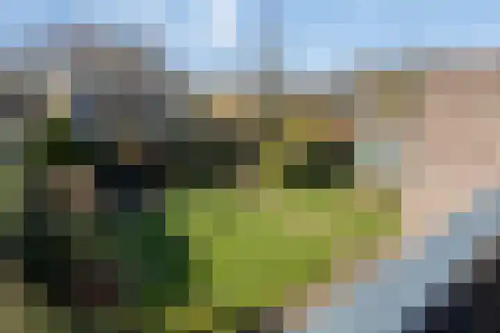De Gaikhorst 38 Warnsveld thumbnail 24