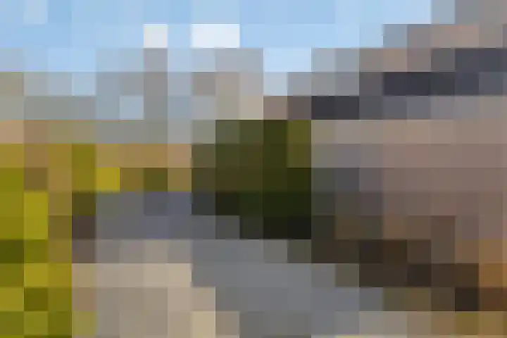 De Gaikhorst 38 Warnsveld thumbnail 39
