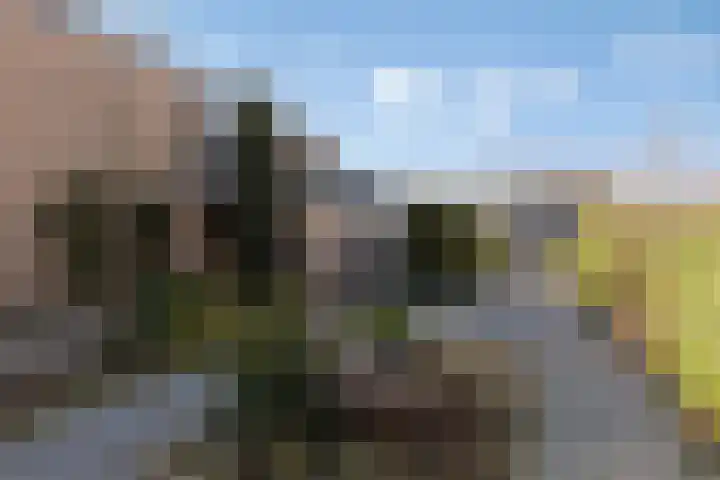 De Gaikhorst 38 Warnsveld thumbnail 40